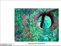 Sites similar to aviana.com