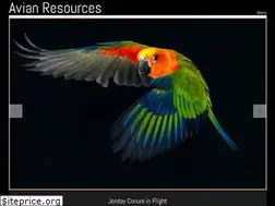 Sites similar to avianresources.com