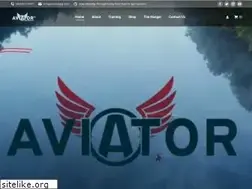 Sites similar to aviatorppg.com