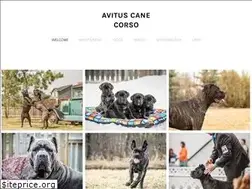 Sites similar to avituscanecorso.com