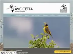 Sites similar to avocetta.org