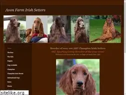 Sites similar to avonfarmirishsetters.com