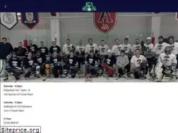 Sites similar to avonhockey.com