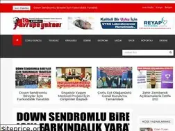 Sites similar to avrupayakasi.com.tr
