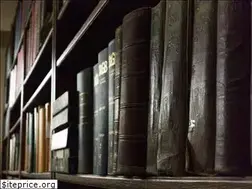 Sites similar to avvmarcoborriello.com