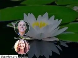 Sites similar to awakeningdharma.com