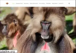 Sites similar to awazetours.com