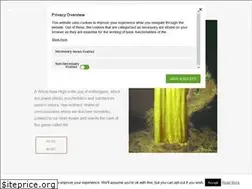 Sites similar to awholenewhigh.com