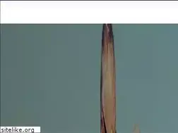 Sites similar to axa-pflegewelt.de