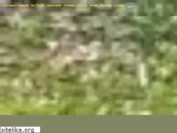 Sites similar to ayahuasca-healing.net