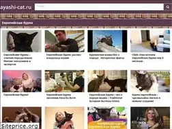 Sites similar to ayashi-cat.ru