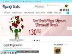 Sites similar to ayazagacicekci.com