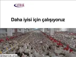 Sites similar to aybaktarim.com