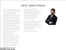 Sites similar to aybarstekcan.com