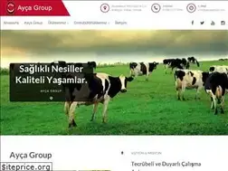 Sites similar to aycagroup.com