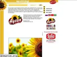 Sites similar to aycekirdegi.com