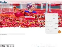 Sites similar to aydincagiriyor.com