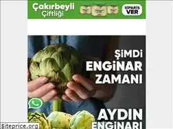 Sites similar to aydinenginari.com