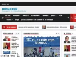 Sites similar to aydinlarocagi.org