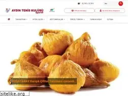 Sites similar to aydinteniskulubu.com