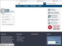 Sites similar to aygebaglanti.com