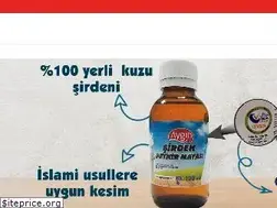 Sites similar to aygingurme.com
