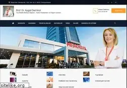 Sites similar to ayguldemirol.com