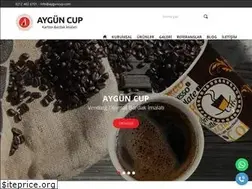 Sites similar to ayguncup.com