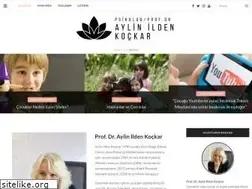 Sites similar to aylinildenkockar.com