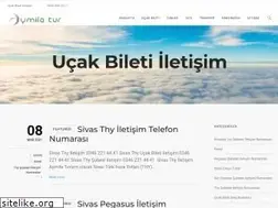 Sites similar to aymilaturizm.com