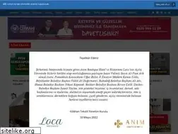 Sites similar to aynahaber.net
