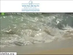 Sites similar to ayoungrealty.com