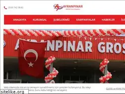 Sites similar to ayranpinar.com