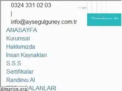 Sites similar to aysegulguney.com.tr