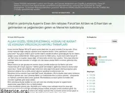 Sites similar to aysenlik.blogspot.com
