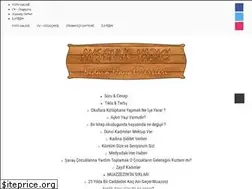 Sites similar to aysenuryazici.com