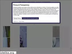 Sites similar to ayseskochblog.de