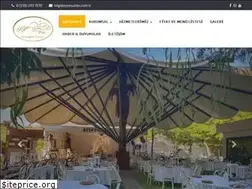 Sites similar to aysesultan.com.tr