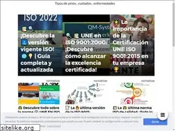 Sites similar to ayudasiso9000.com