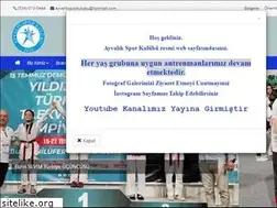 Sites similar to ayvalikspor.com
