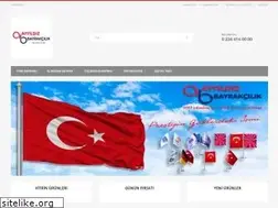 Sites similar to ayyildizbayrak.com