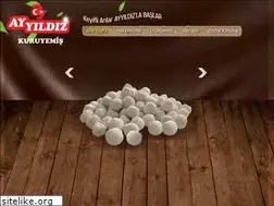 Sites similar to ayyildizkuruyemis.com