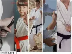 Sites similar to azbudokan.com
