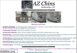Sites similar to azchins.com