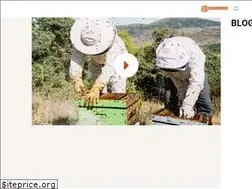 Sites similar to azeribal.az
