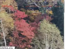 Sites similar to azgraph.jp