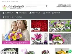 Sites similar to azizcicekcilik.com