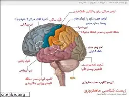Sites similar to azonline.ir