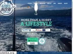 Sites similar to azoresnow.com