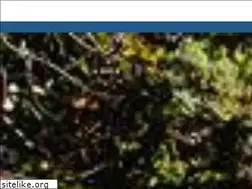Sites similar to azri.org